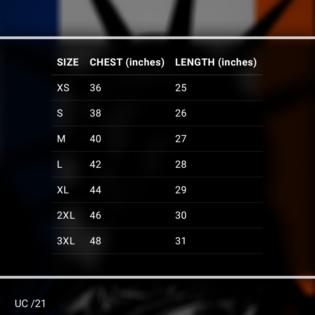 Statue of Liberty | Graphic T-Shirt  | TFROZ